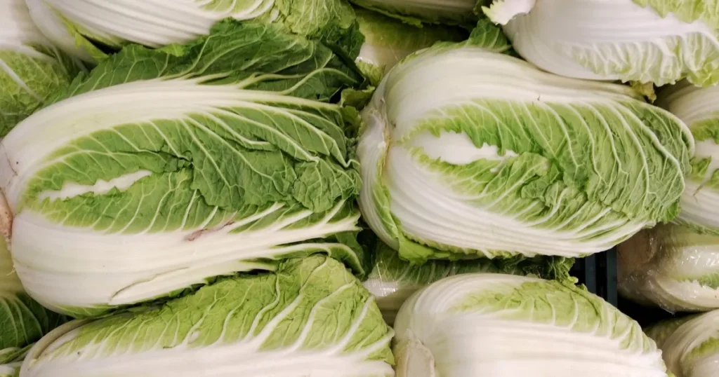 Acelga chinesa: conheça os benefícios e as formas de preparo deste vegetal