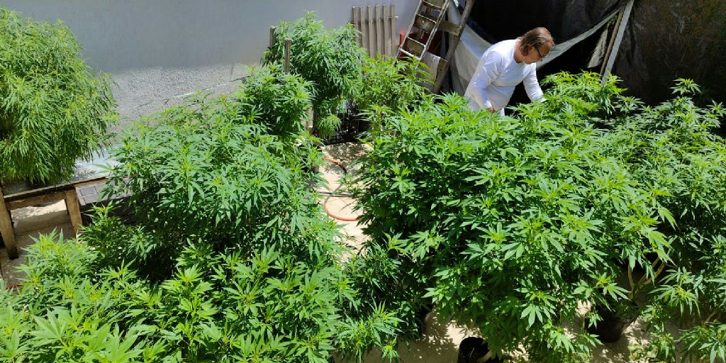 Especialistas em Fortaleza criticam repressão e pedem políticas de drogas com justiça social