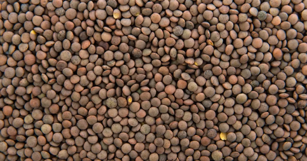Farinha de lentilha: versatilidade nutricional e usos na culinária sem glúten