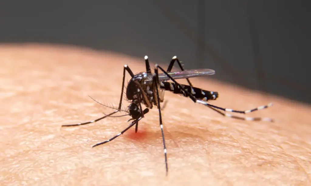 Mudanças climáticas aceleram disseminação de doenças infecciosas