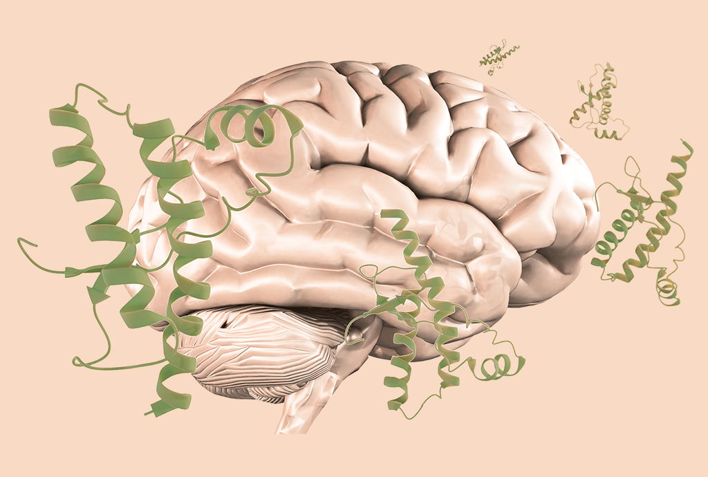Príons: entenda como as proteínas infecciosas degeneram o tecido cerebral