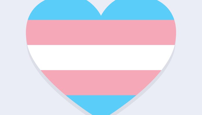 252_Heart_Trans_Flag