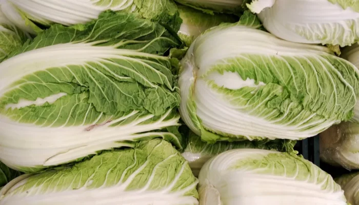 Acelga chinesa: conheça os benefícios e as formas de preparo deste vegetal