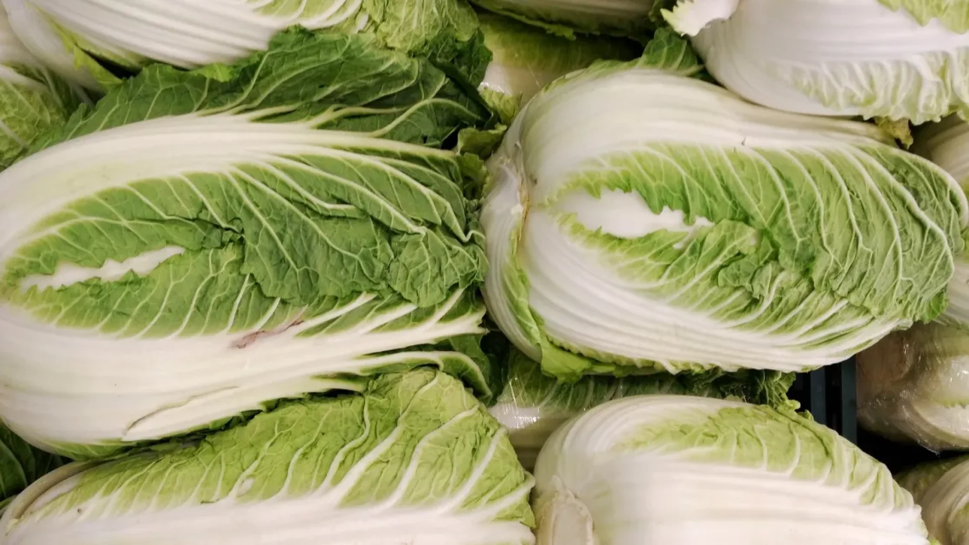 Acelga chinesa: conheça os benefícios e as formas de preparo deste vegetal