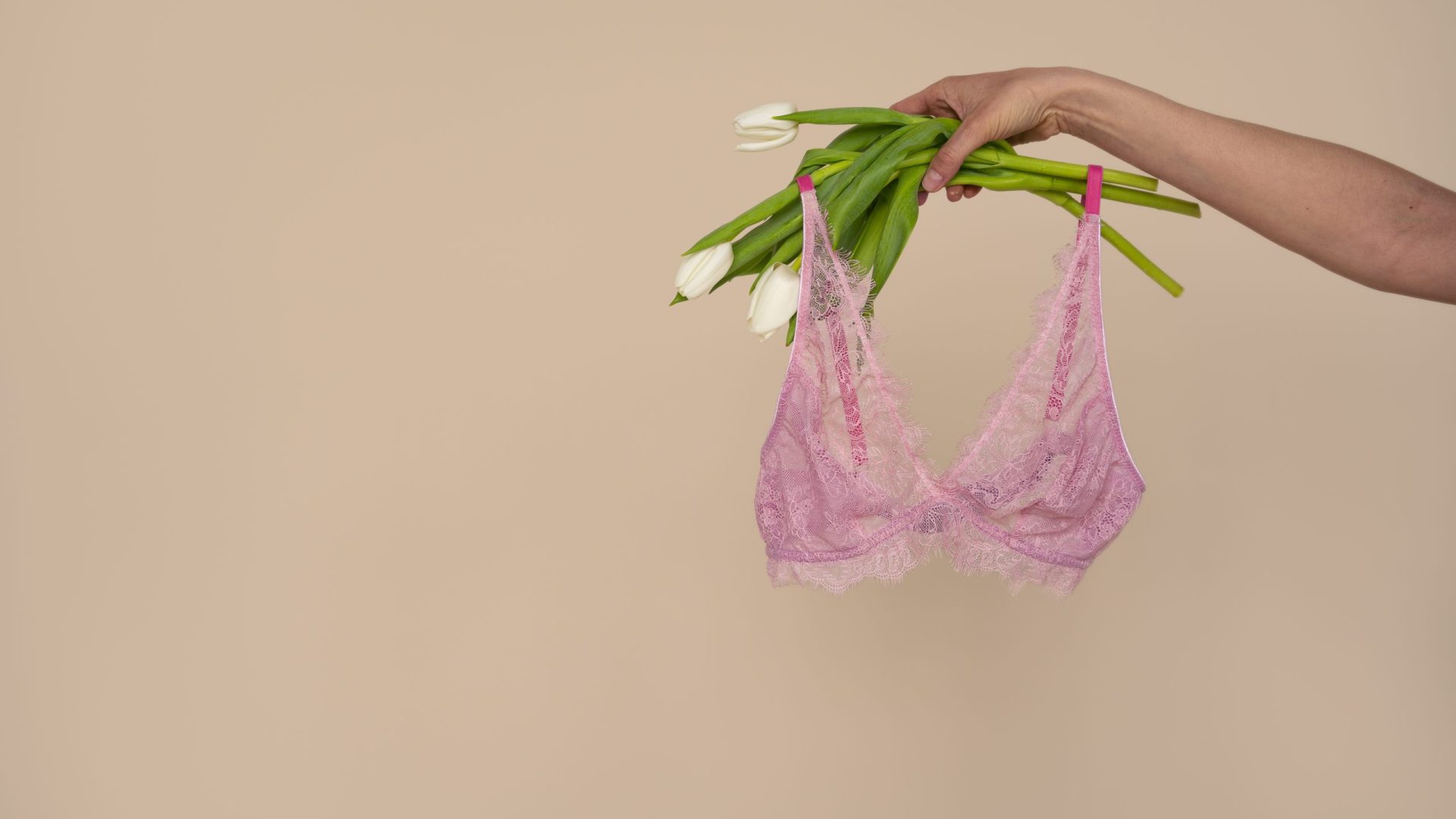 ainda-vida-de-sutia-lingerie