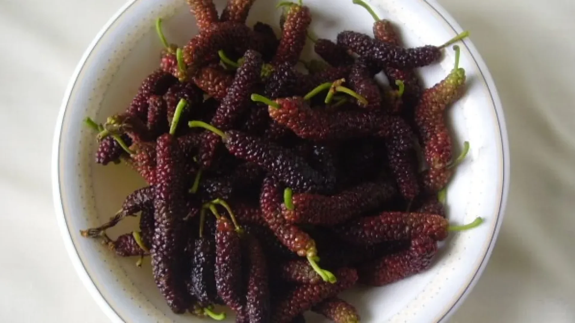 Amora-do-paquistão: conheça as propriedades da versão gigante da fruta