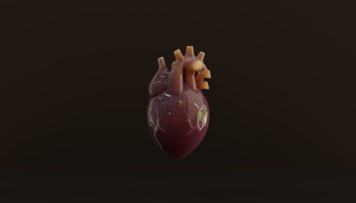 anatomical-heart-with-brown-background