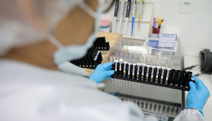 Anvisa libera testes da vacina brasileira contra malária com aporte de R$ 12 milhões