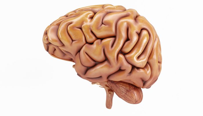 Foto/ Reprodução: Internet