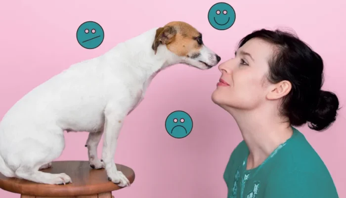 Cães possuem capacidade biológica de identificar emoções humanas negativas