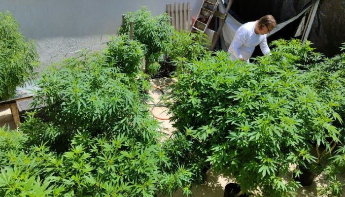 Especialistas em Fortaleza criticam repressão e pedem políticas de drogas com justiça social