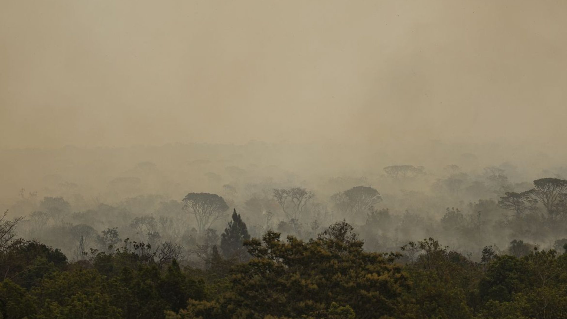 Força Nacional do SUS instala base para atender afetados por incêndios