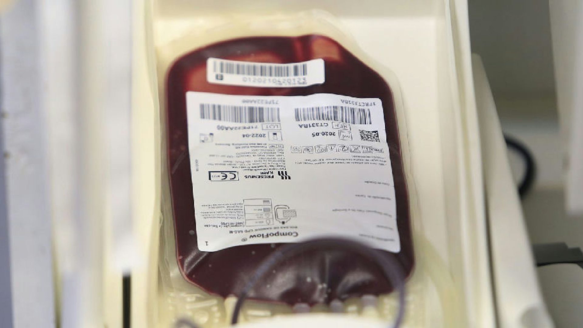 Fundação Pró-sangue enfrenta níveis críticos e convoca doadores para repor estoques