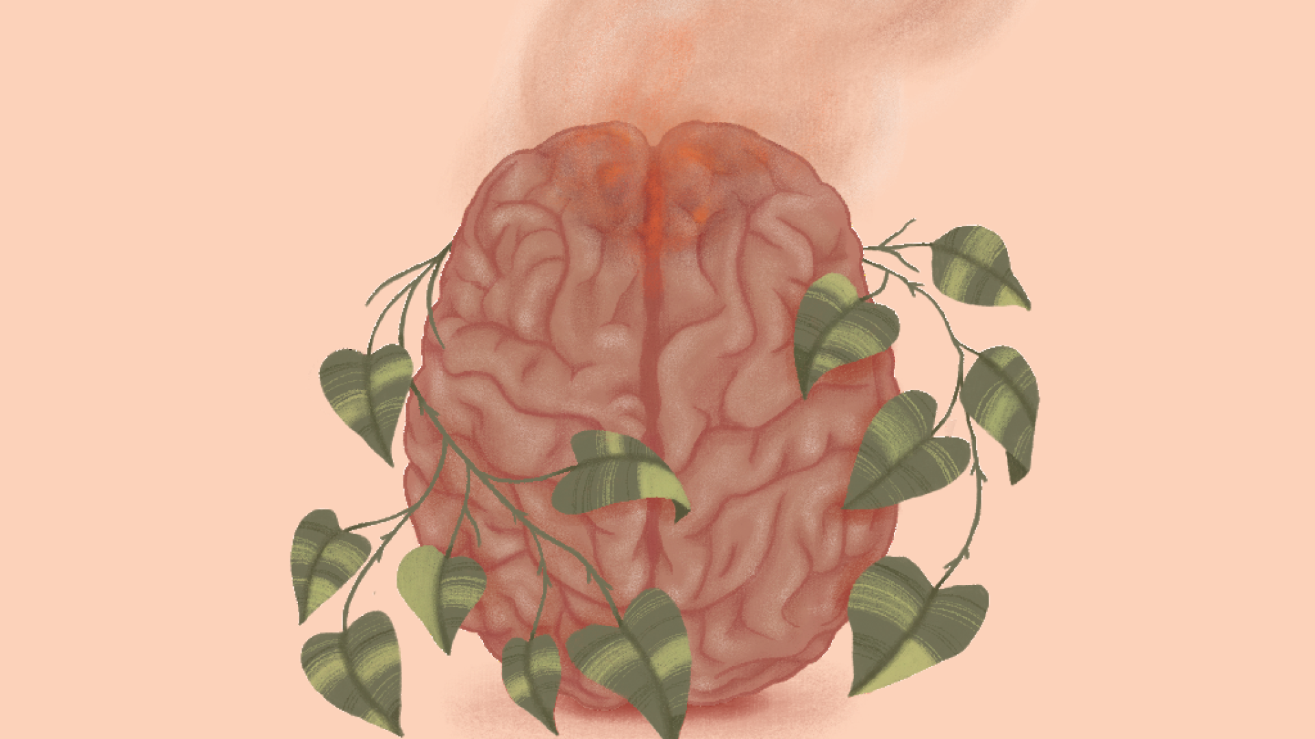 Impacto da queda de estrogênio na saúde cerebral e cognitiva