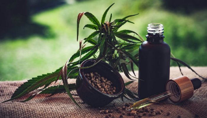 Incertezas regulatórias travam avanço de associações de cannabis medicinal no Brasil