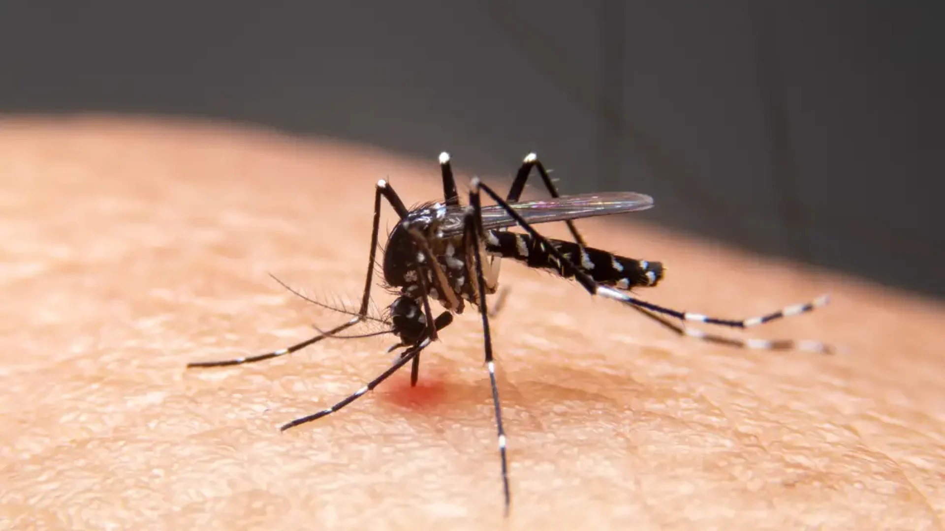 Mudanças climáticas aceleram disseminação de doenças infecciosas