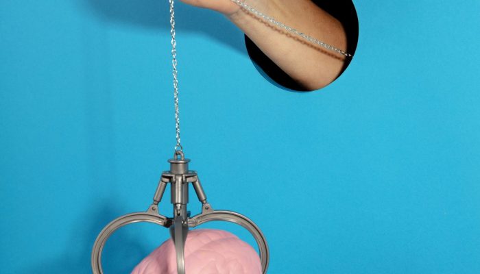 natureza-morta-com-cerebro-humano