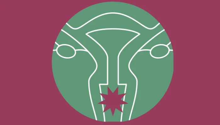 Novo comprimido vaginal promete aliviar sintomas da menopausa a partir de 2027
