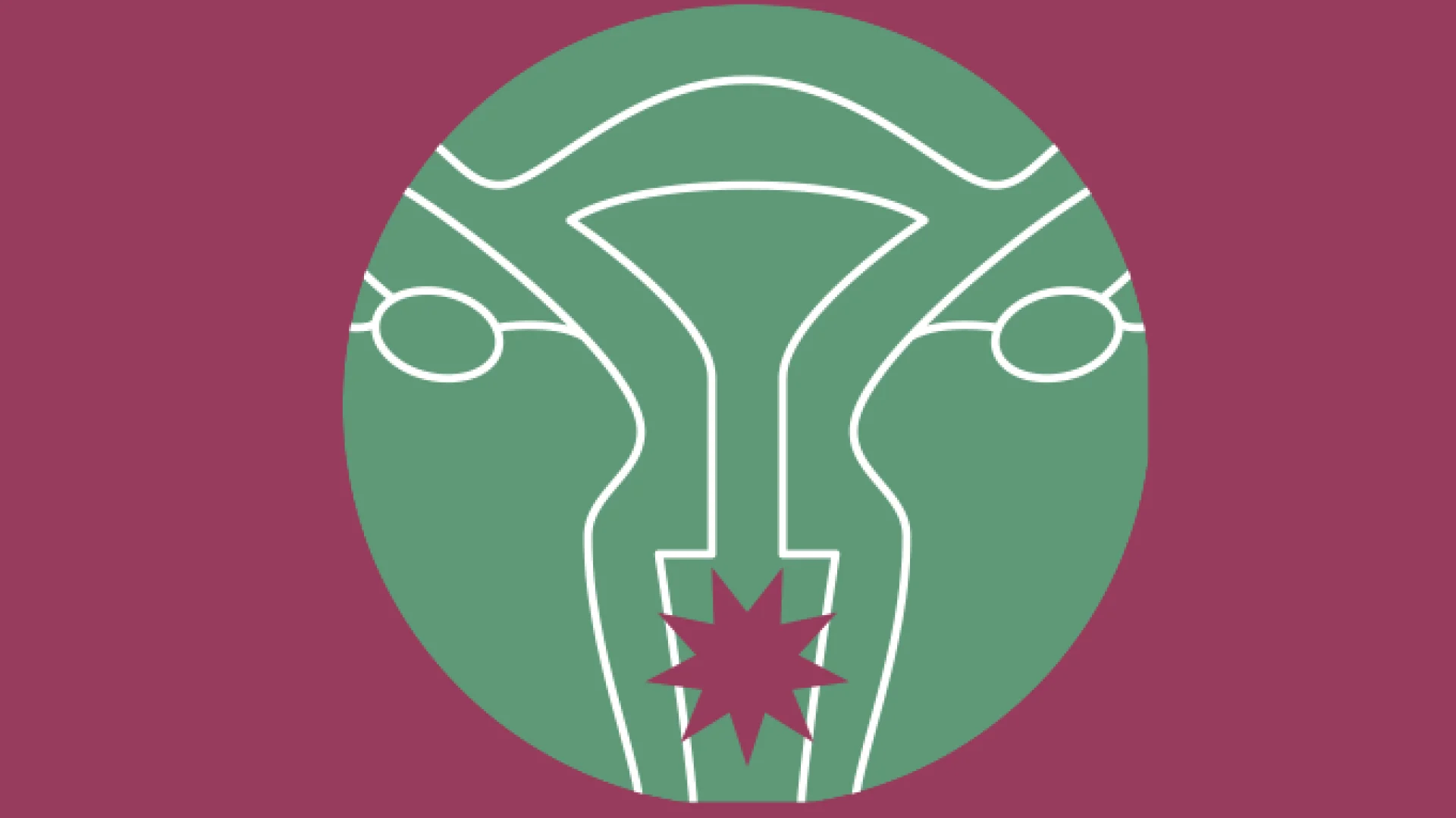 Novo comprimido vaginal promete aliviar sintomas da menopausa a partir de 2027