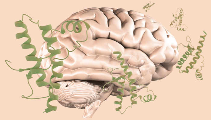 Príons: entenda como as proteínas infecciosas degeneram o tecido cerebral