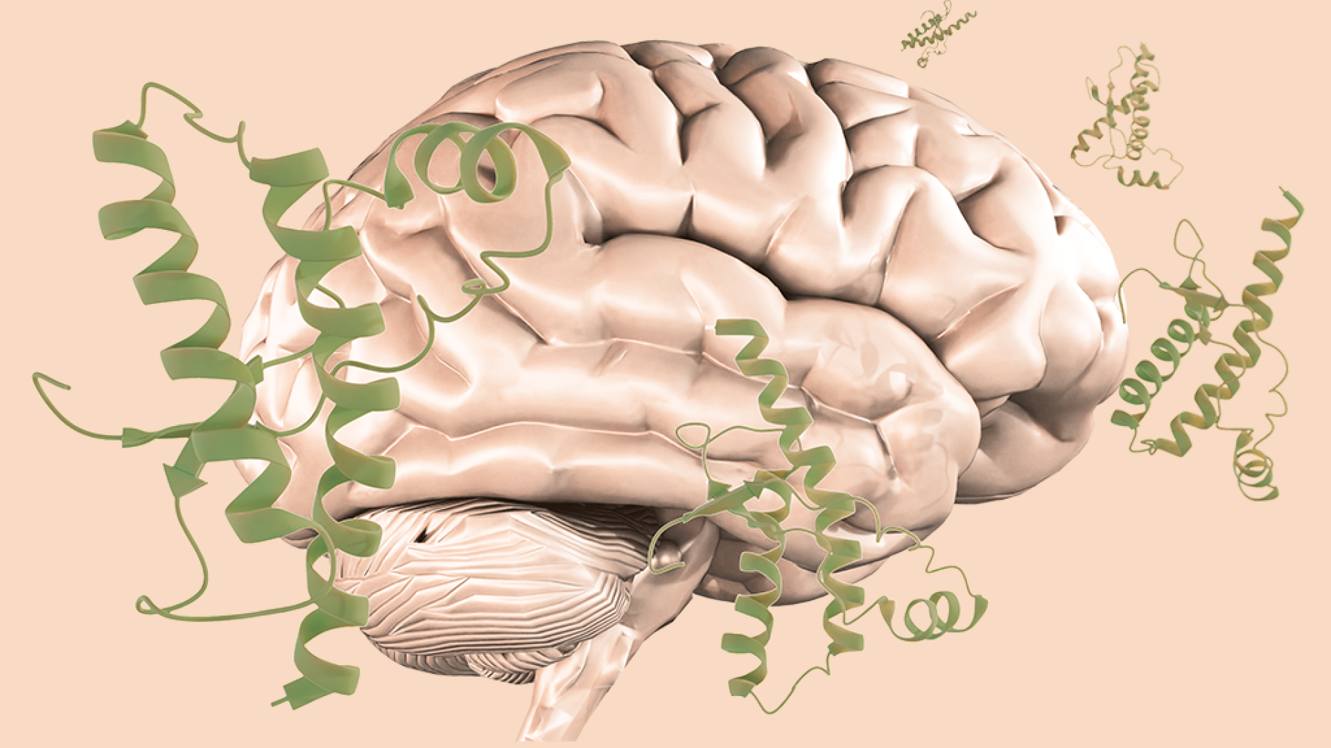 Príons: entenda como as proteínas infecciosas degeneram o tecido cerebral