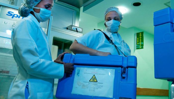 Taxa de recusa familiar para doação de órgãos chega a 45% no Brasil
