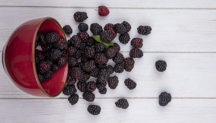 top view blackberry in a bowl on a white background