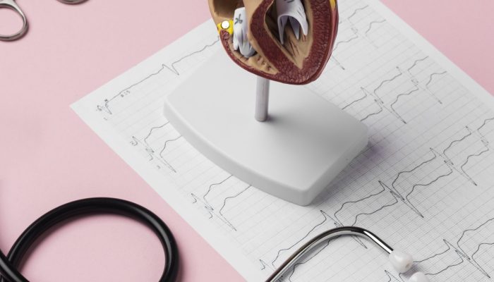 view-anatomic-heart-model-educational-purpose-with-stethoscope