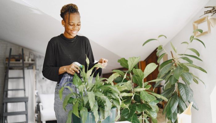 Woman at home. Girl in a black sweater. African woman at the office. Person with flowerpot.